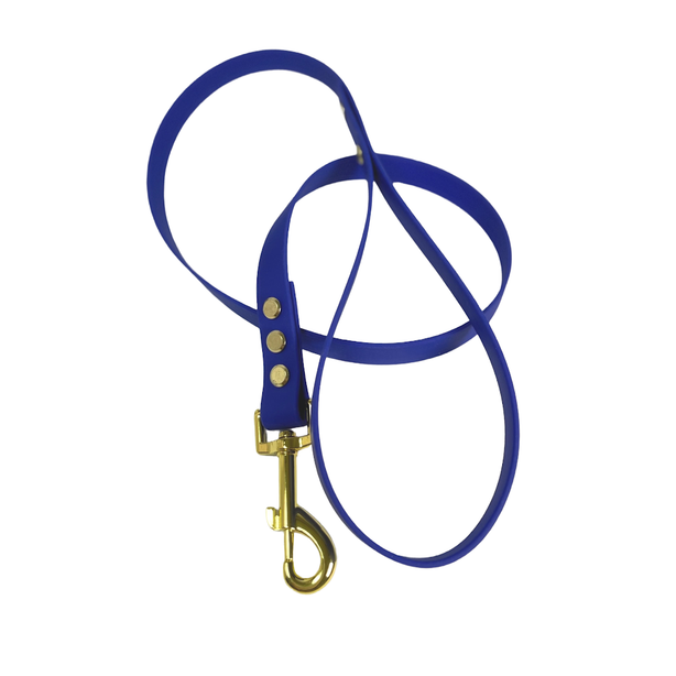 LEASh Pet Leash Biothane - Azure Blue Gold Hardware