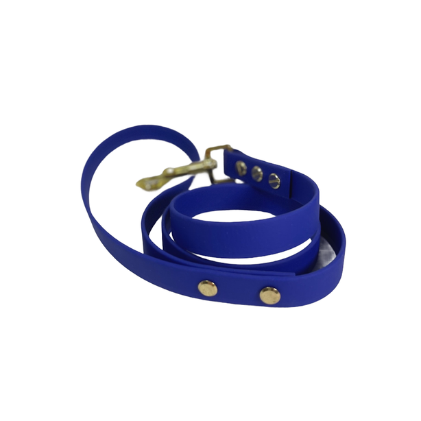 LEASh Pet Leash Biothane - Azure Blue Gold Hardware