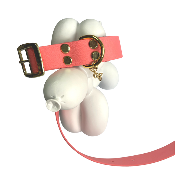 LEASh Pet Collar Biothane - Taffy Pink Gold Hardware