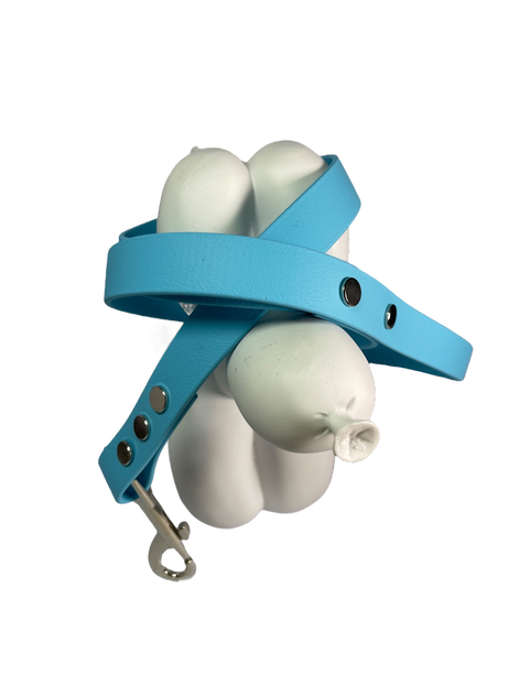 LEASh Pet Leash Biothane - Sky Blue Silver Hardware