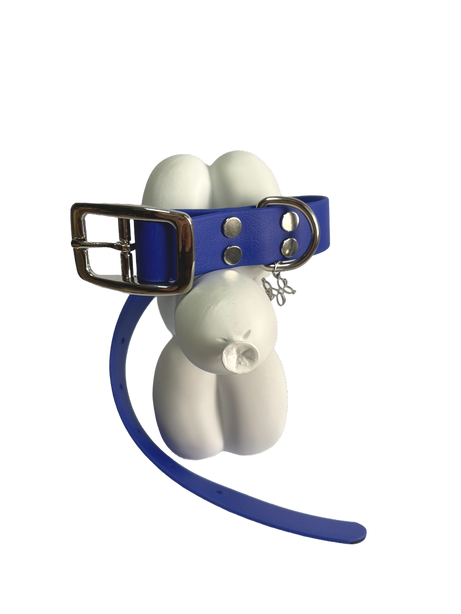 LEASh Pet Collar Biothane - Azure Blue Silver Hardware