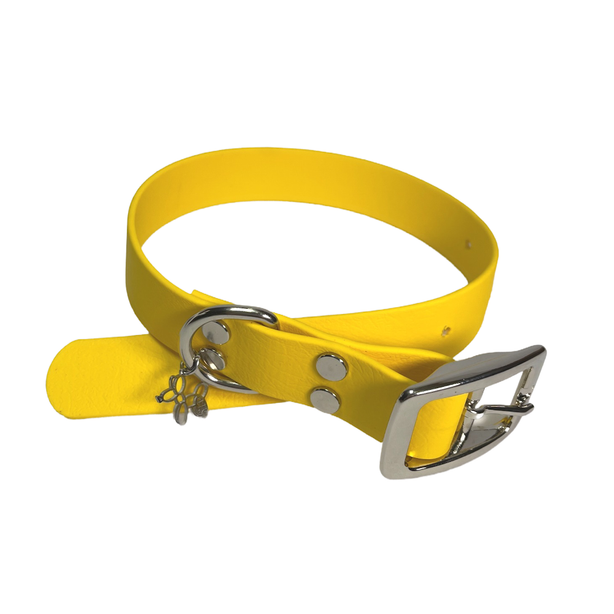 LEASh Pet Collar Biothane - BumbleB Yellow Silver Hardware