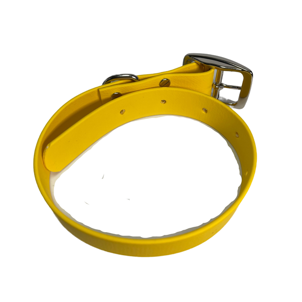 LEASh Pet Collar Biothane - BumbleB Yellow Silver Hardware