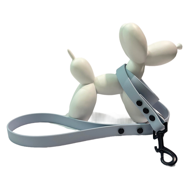 LEASh Pet Leash Biothane - Arctic Blue Matte Black Hardware