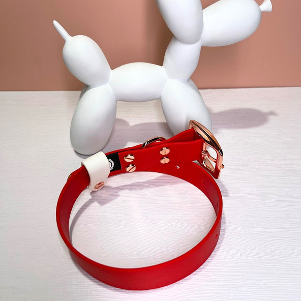LEASh Pet Collar Biothane - Candy Cane - Red - Gold Hardware