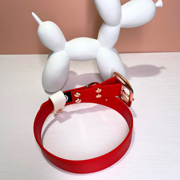 LEASh Pet Collar Biothane - Candy Cane - Red - Gold Hardware