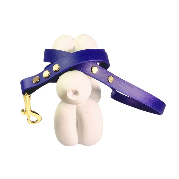 LEASh Pet Leash Biothane - Berry Blue Gold Hardware