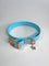 LEASh Pet Collar Biothane - Sky Blue Rose Hardware