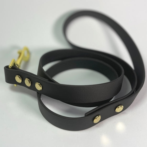LEASh Pet Leash Biothane - Matte Black Gold Hardware