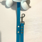 LEASh Pet Leash Biothane - Ocean Blue Silver Hardware