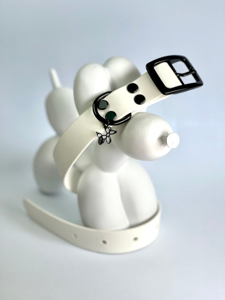 LEASh Pet Collar Biothane - White