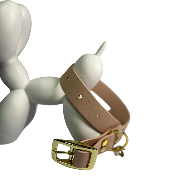 LEASh Pet Collar Biothane - Santa Fe Gold Hardware