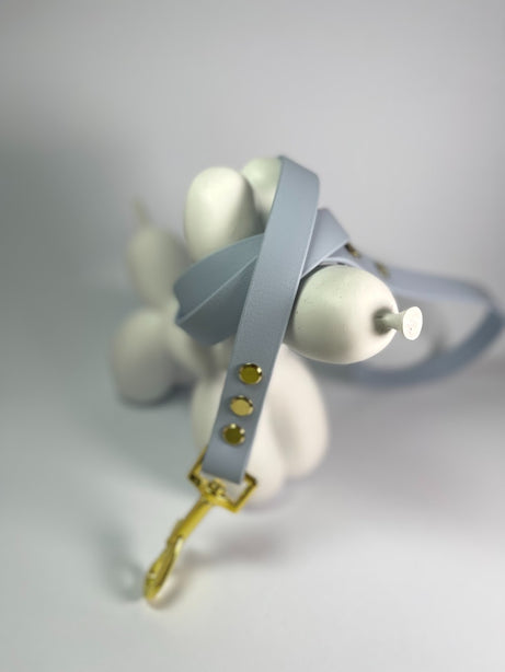 LEASh Pet Leash Biothane - Arctic Blue Gold Hardware
