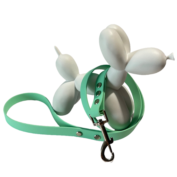 LEASh Pet Leash Biothane - Mint Silver Hardware