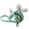 LEASh Pet Leash Biothane - Mint Silver Hardware