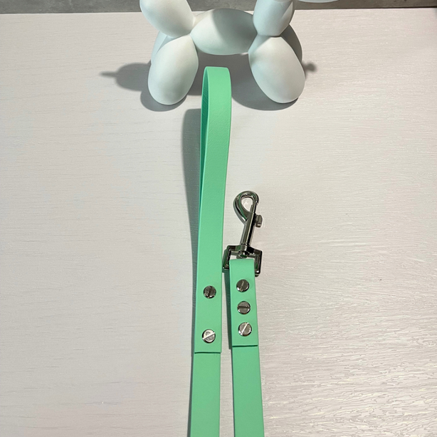LEASh Pet Leash Biothane - Mint Silver Hardware