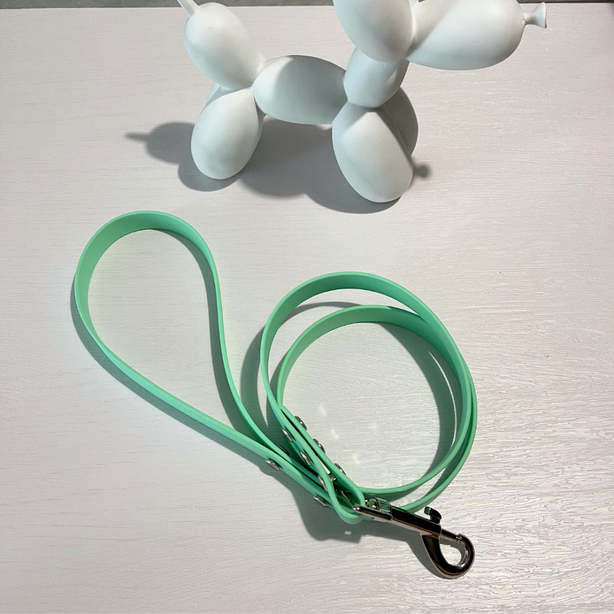 LEASh Pet Leash Biothane - Mint Silver Hardware