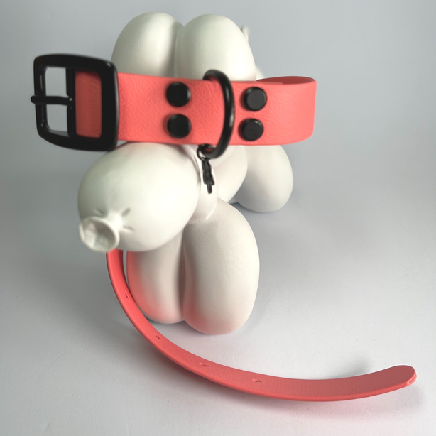LEASh Pet Collar Biothane - Taffy Pink Black Hardware