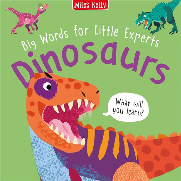 LITTLE EXPERTS DINOSAURS