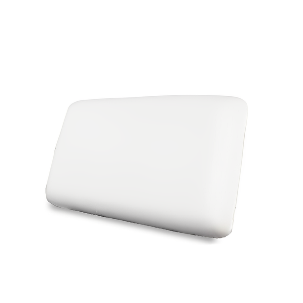 Van Vorst Puffyfoam Pillow