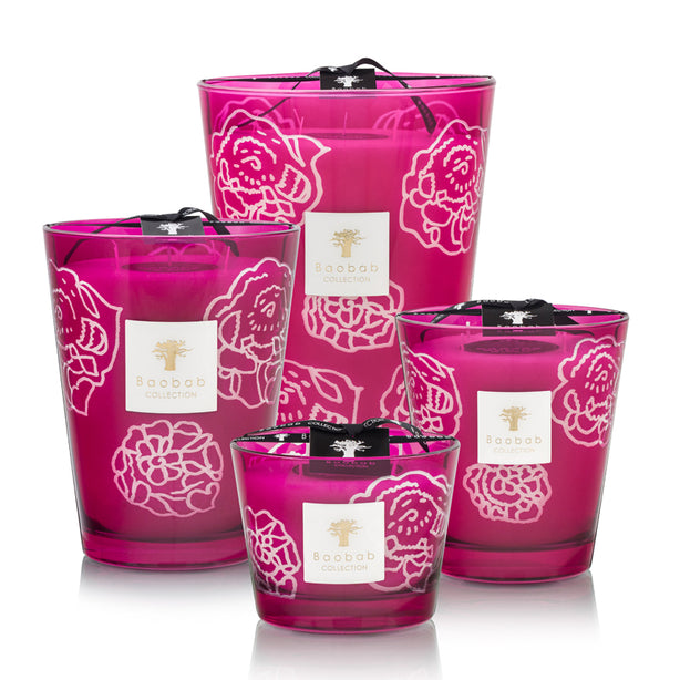 Baobab Collection - Collectible Roses Burgundy Candle (Max 16)