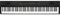 Korg Liano 88-key Portable Digital Piano ‚Äì Black