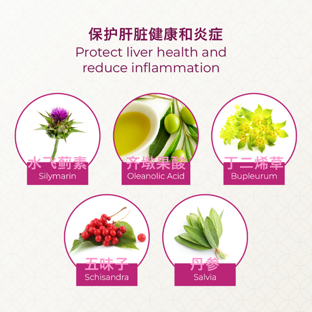 QN Wellness Liver-Care Pro‚Ñ¢ - 60 Caplets x 3 boxes [Super Valued Pack]