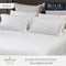 Royal Egyptian Cotton - White