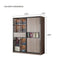 KLASS Tempered Glass Wardrobe