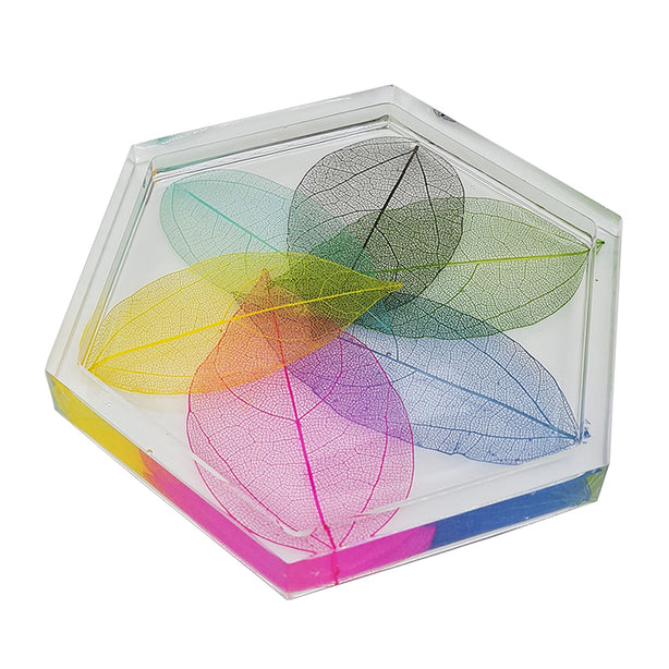 Jojomama Hexagon Botany Coaster - Set of 4