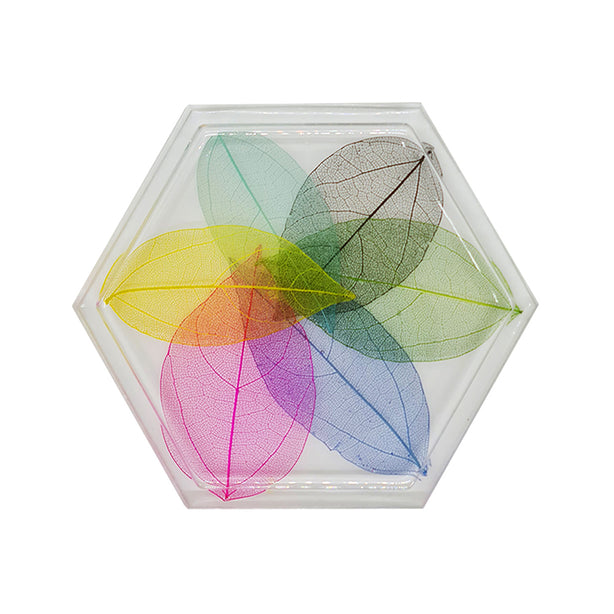 Jojomama Hexagon Botany Coaster - Set of 8