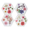 Jojomama Hexagon Bloom Coaster - Set of 4