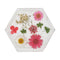 Jojomama Hexagon Bloom Coaster - Set of 4