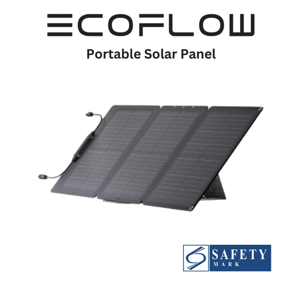 EcoFlow 60W Portable Solar Panel