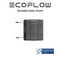 EcoFlow 60W Portable Solar Panel