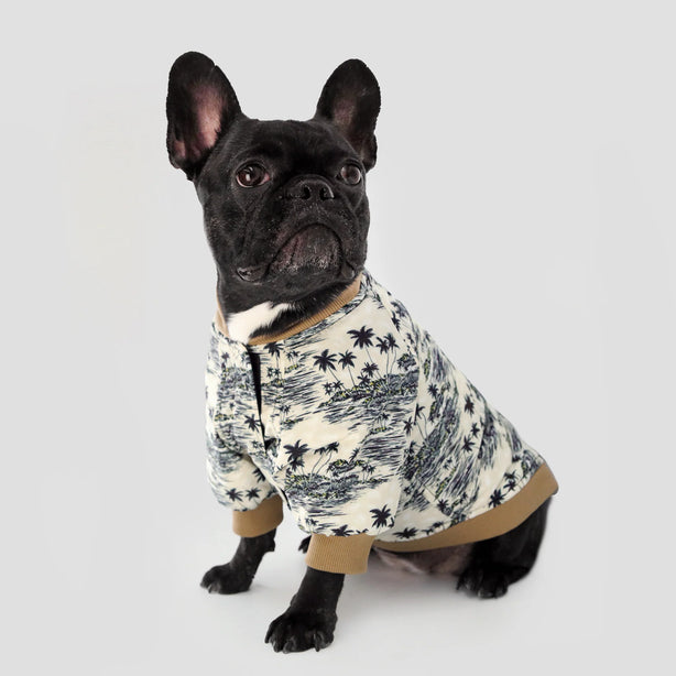 BOSS Dog Bomber Jacket