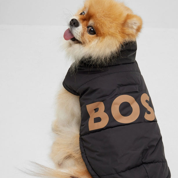 BOSS Dog Padded Jacket