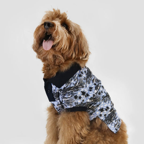 BOSS Dog Polo