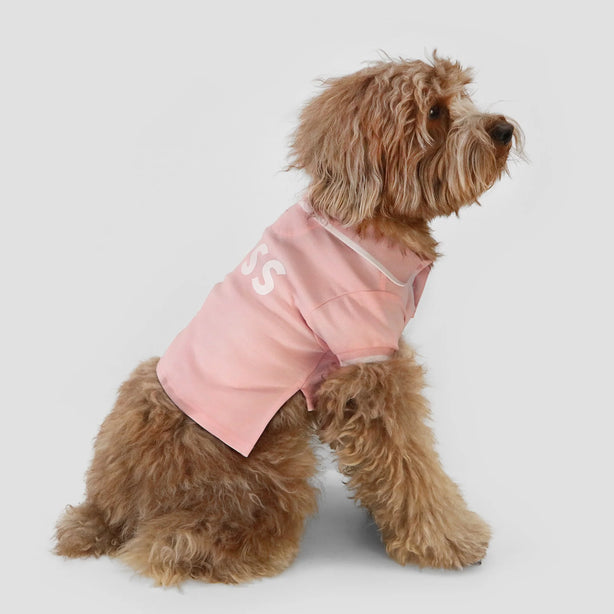 BOSS Dog Polo
