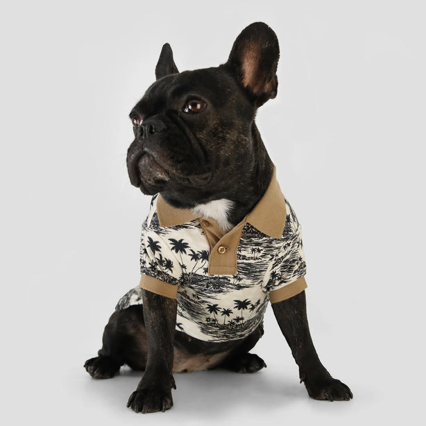 BOSS Dog Polo