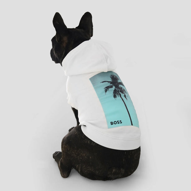 BOSS Dog Beach Hoodie