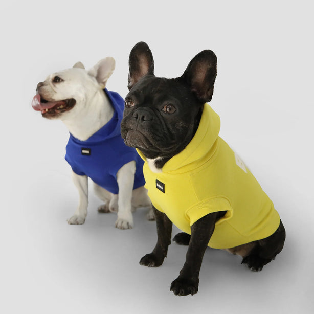 BOSS Dog Beach Hoodie