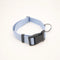 BOSS Dog Core Walk Collar