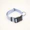 BOSS Dog Core Walk Collar