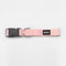 BOSS Dog Core Walk Collar