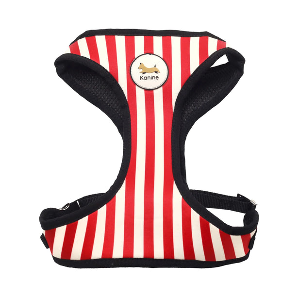 Kanine Stripe Harness
