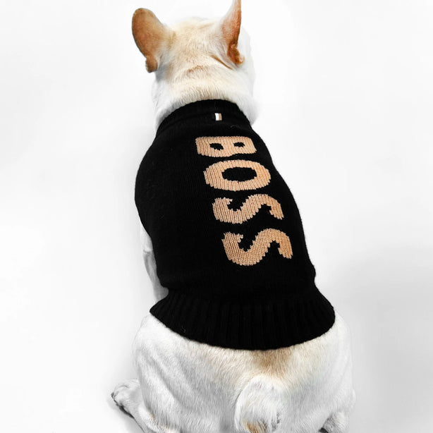 BOSS Dog Logo Sweater