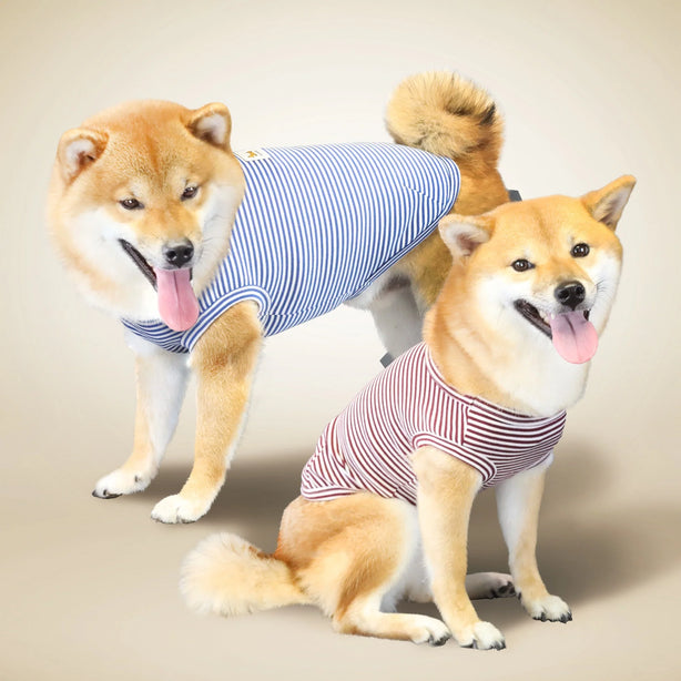 Kanine Stripe T-Shirt