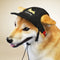 Kanine Cap