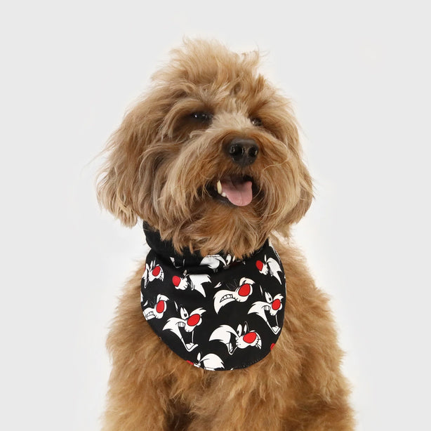 Looney Tunes Bib
